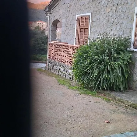 Maison En Pierre De Taille * Petreto-Bicchisano